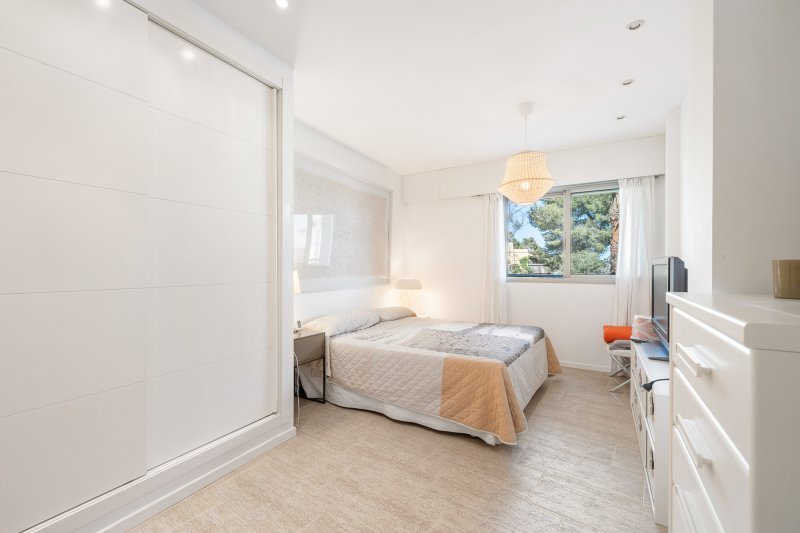Bright apartment in town near the sea - 4