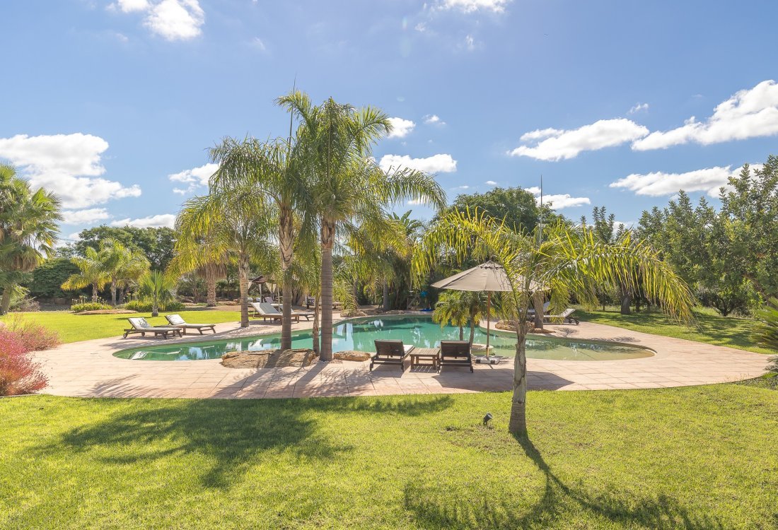 Villa ibicenca con licencia turística y centro de jardinería rentable - 9