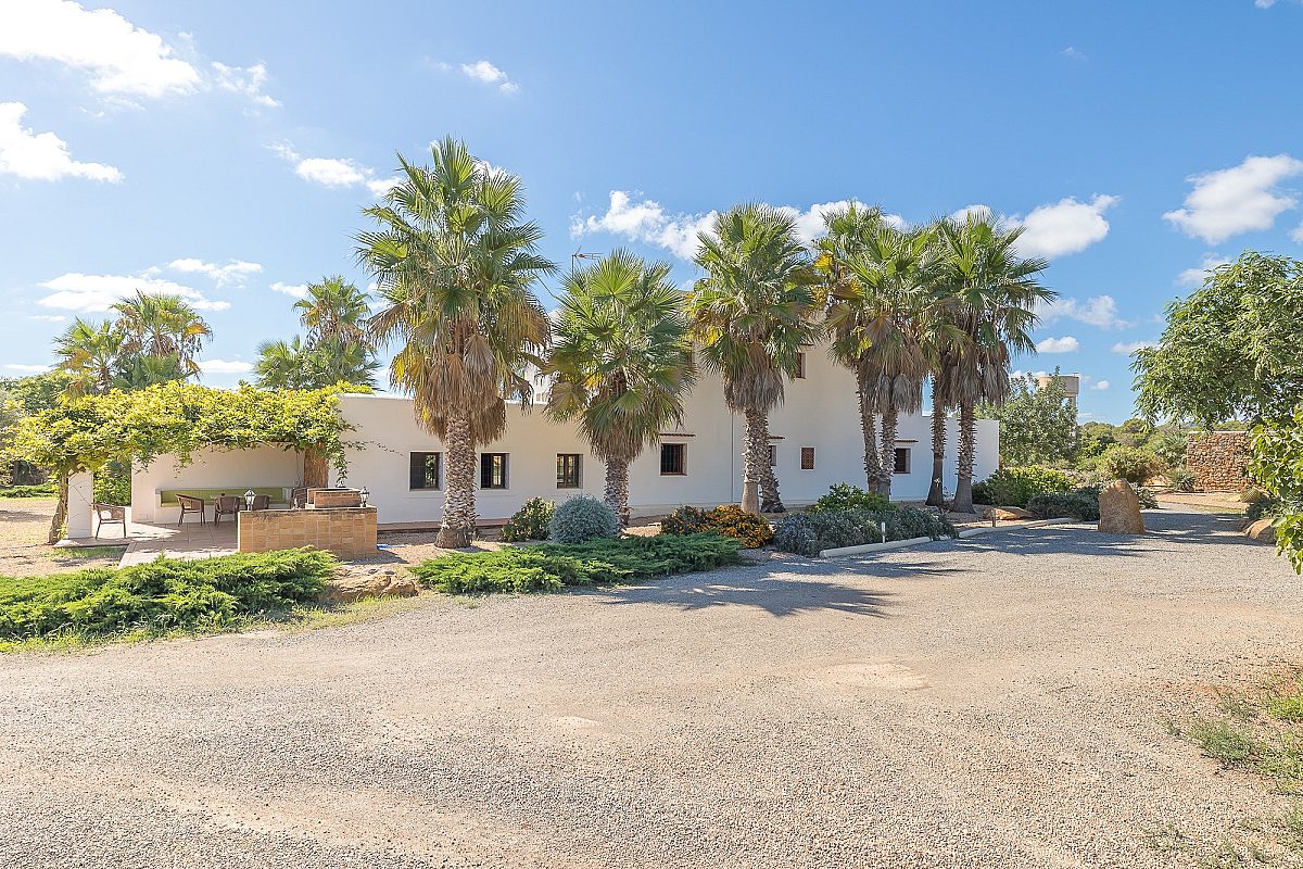 Villa ibicenca con licencia turística y centro de jardinería rentable - 50