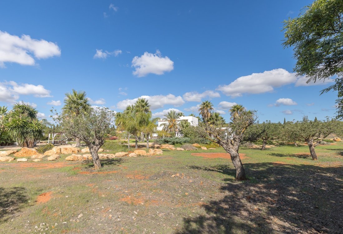 Villa ibicenca con licencia turística y centro de jardinería rentable - 54