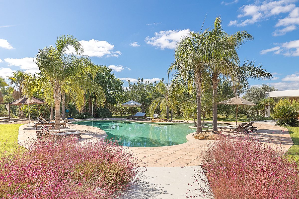 Villa ibicenca con licencia turística y centro de jardinería rentable - 5