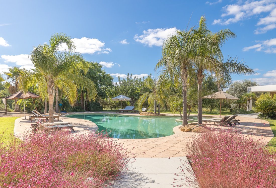 Villa ibicenca con licencia turística y centro de jardinería rentable - 5