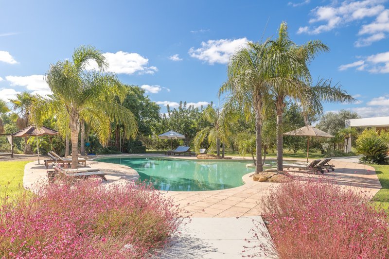 Ibicencan villa with tourist license & profitable garden centre - 5