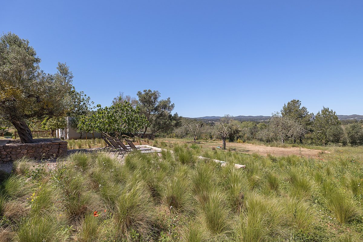 Finca histórica galardonada en entorno rural - 24