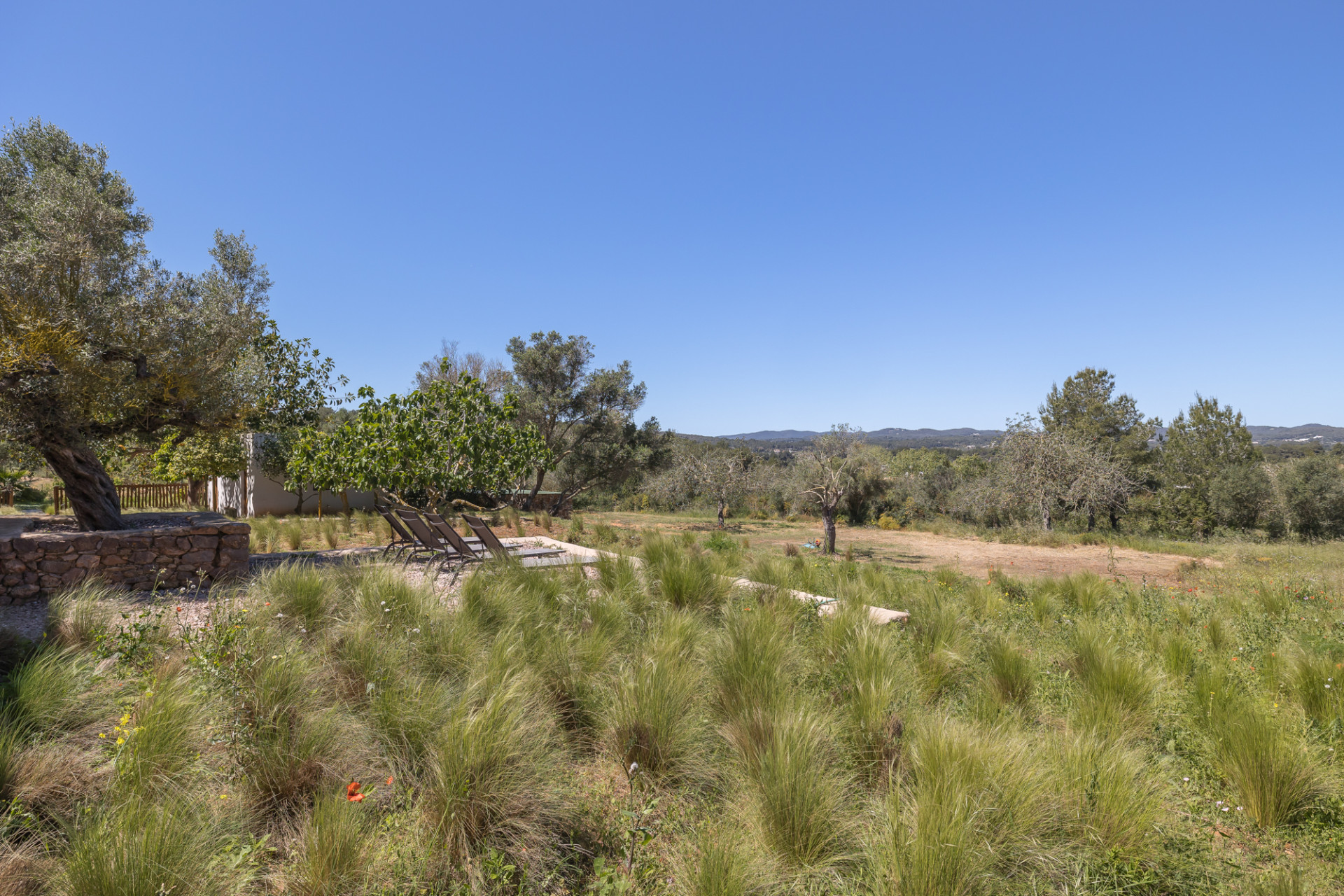 Preisgekrönte historische Finca in ländlicher Umgebung - 24