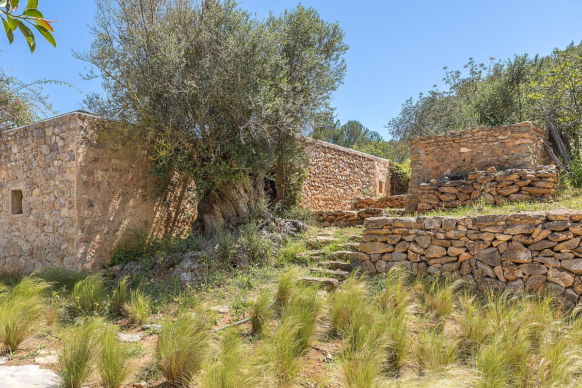 Finca histórica galardonada en entorno rural - 23