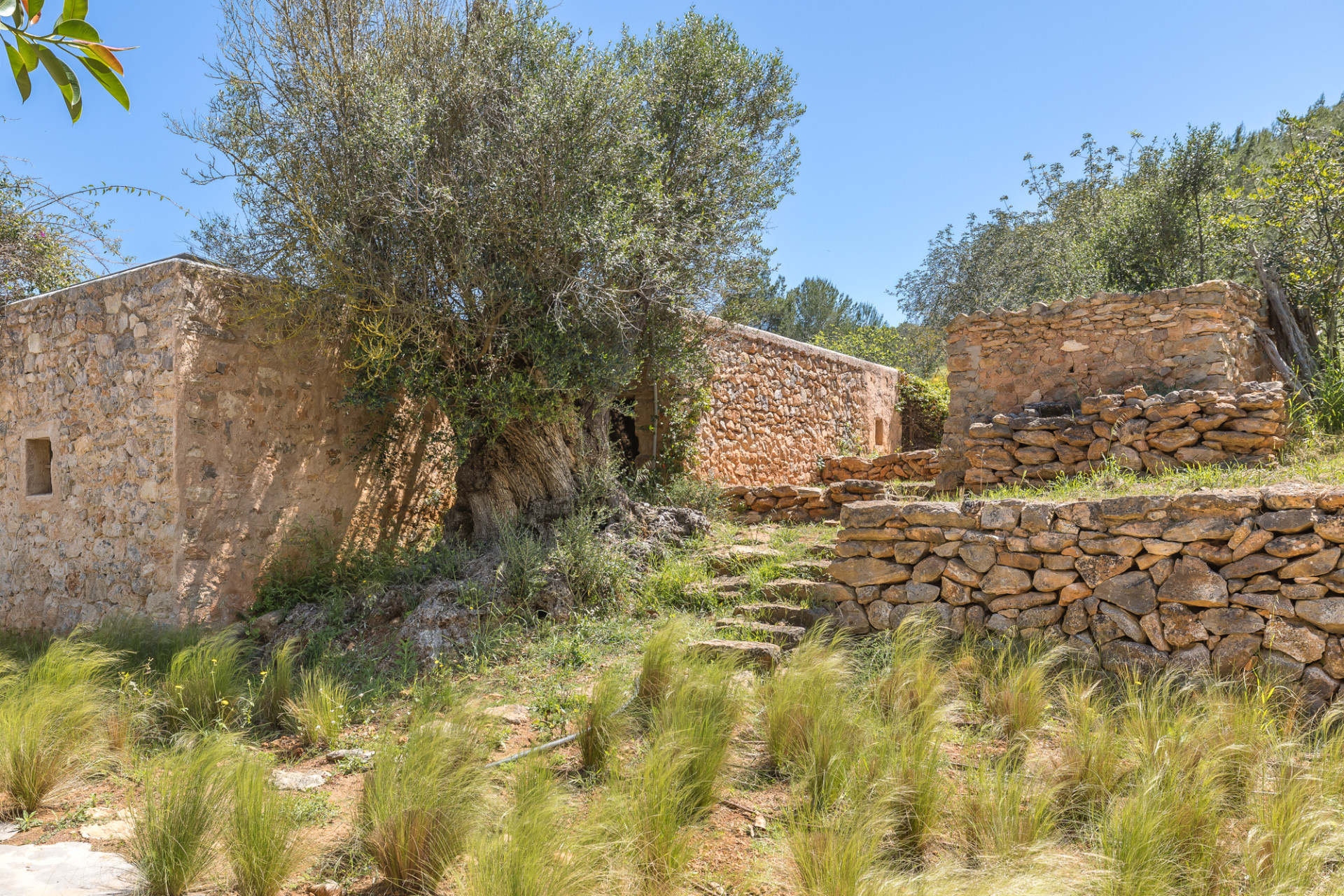 Preisgekrönte historische Finca in ländlicher Umgebung - 23