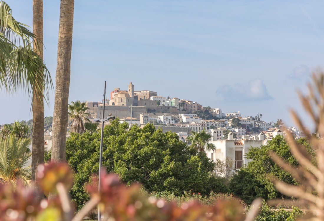 Comfortable apartment in prestigious building - 14