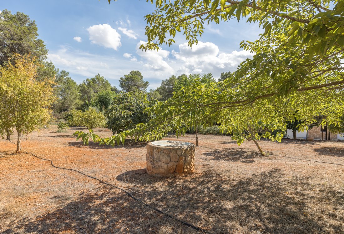 Finca renovada de alta calidad con pozo propio - 23