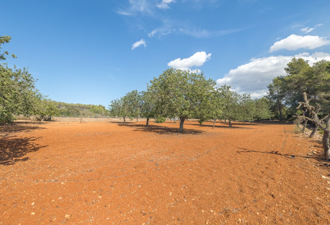 Finca renovada de alta calidad con pozo propio - 24