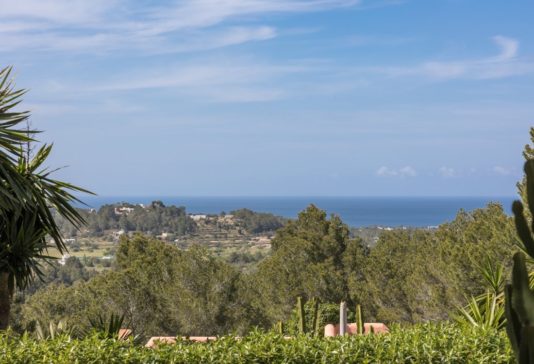 Two authentic fincas in a privileged setting - 6