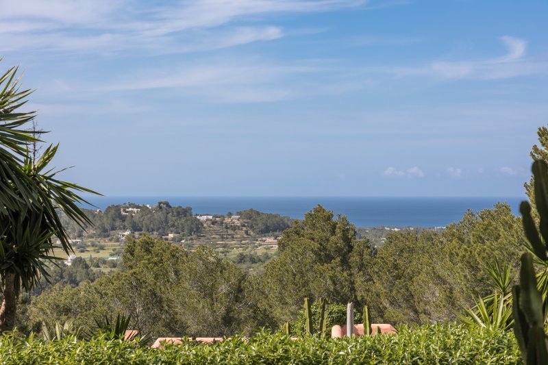 Two authentic fincas in a privileged setting - 4