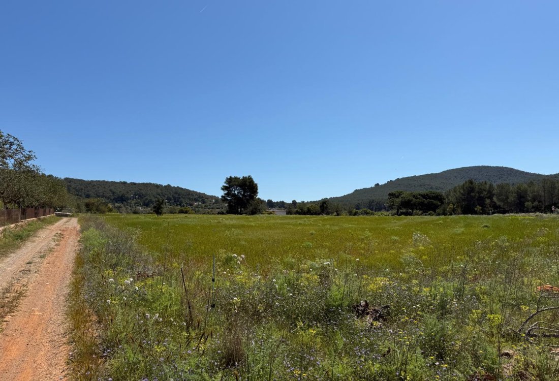 Tranquil countryside plot just minutes from Town - 5