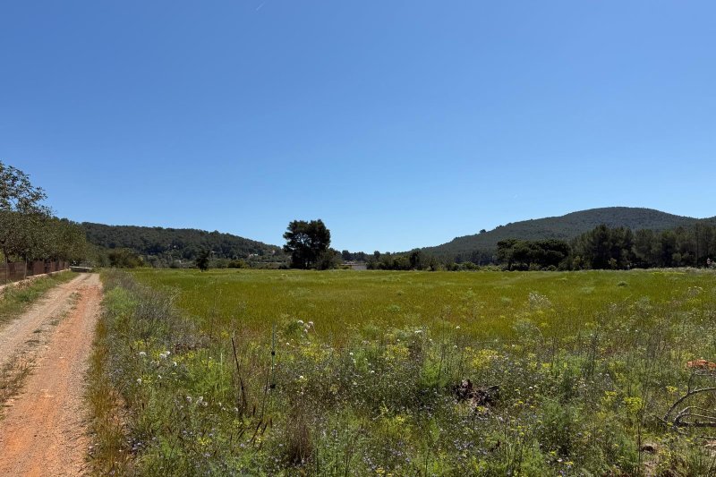 Tranquila parcela rural a pocos minutos del pueblo - 5