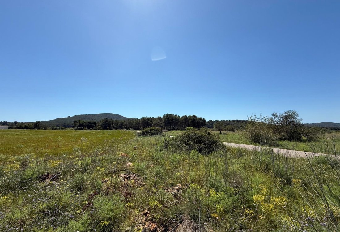 Tranquil countryside plot just minutes from Town - 7