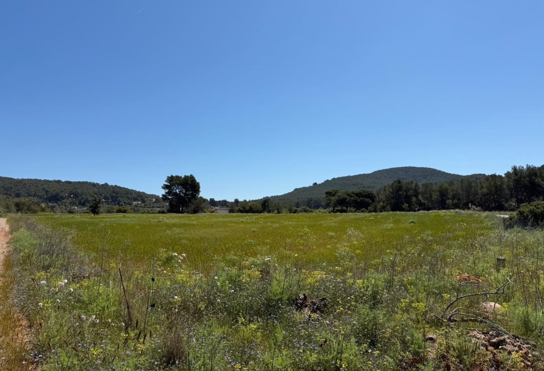 Tranquil countryside plot just minutes from Town - 1