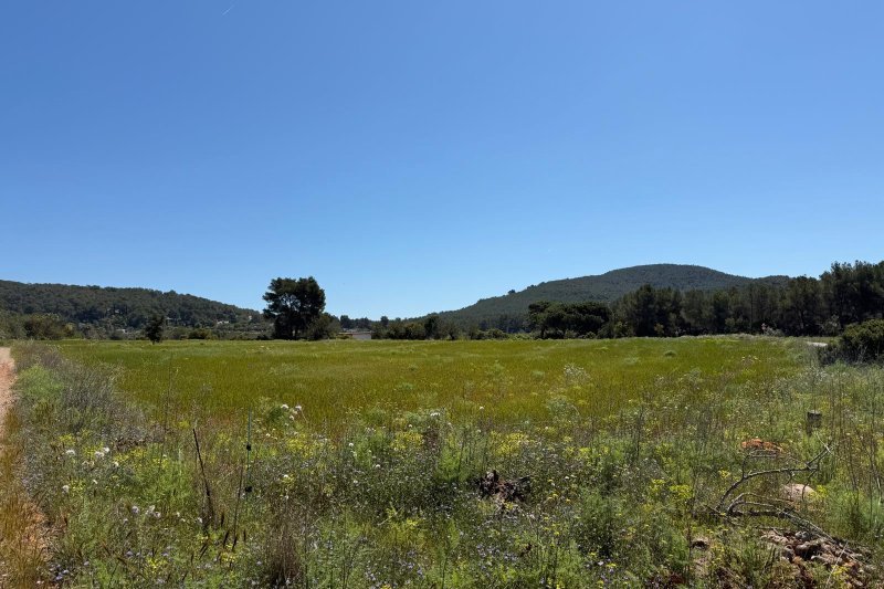 Tranquila parcela rural a pocos minutos del pueblo - 1