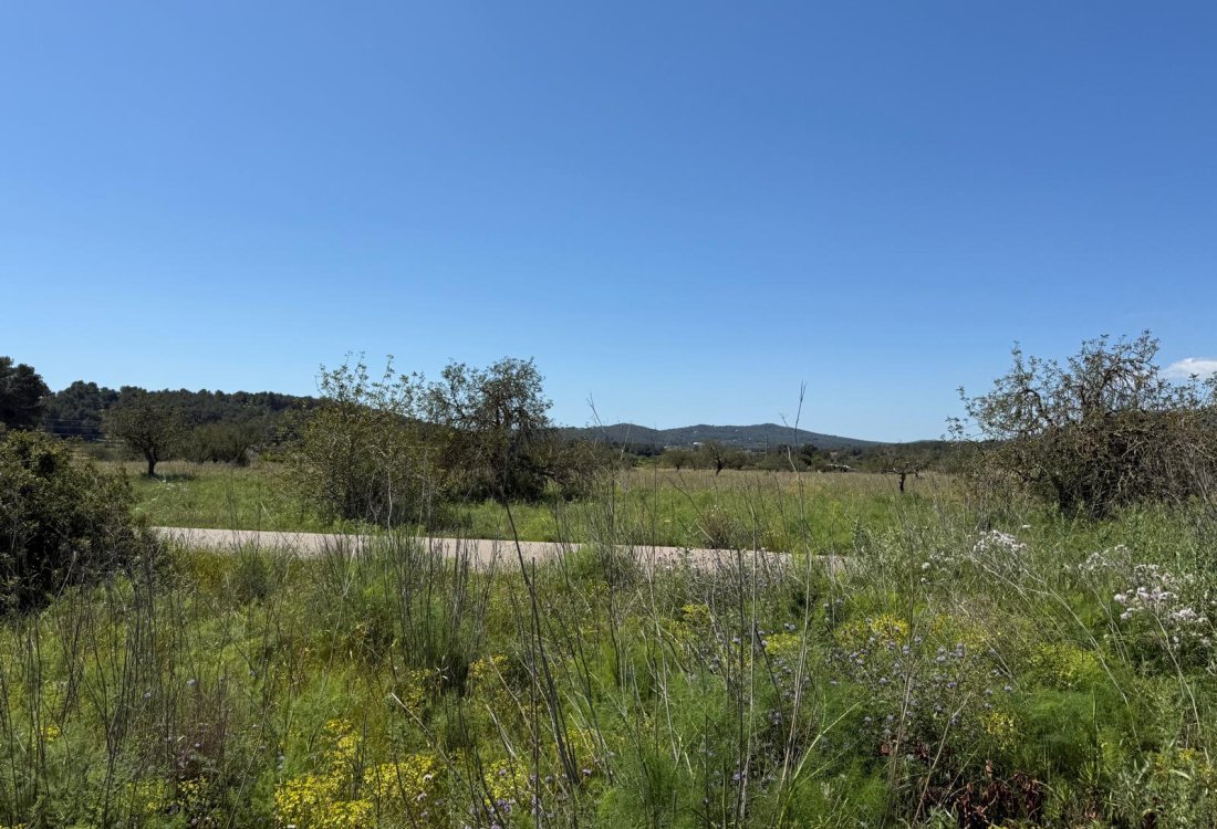 Tranquil countryside plot just minutes from Town - 9