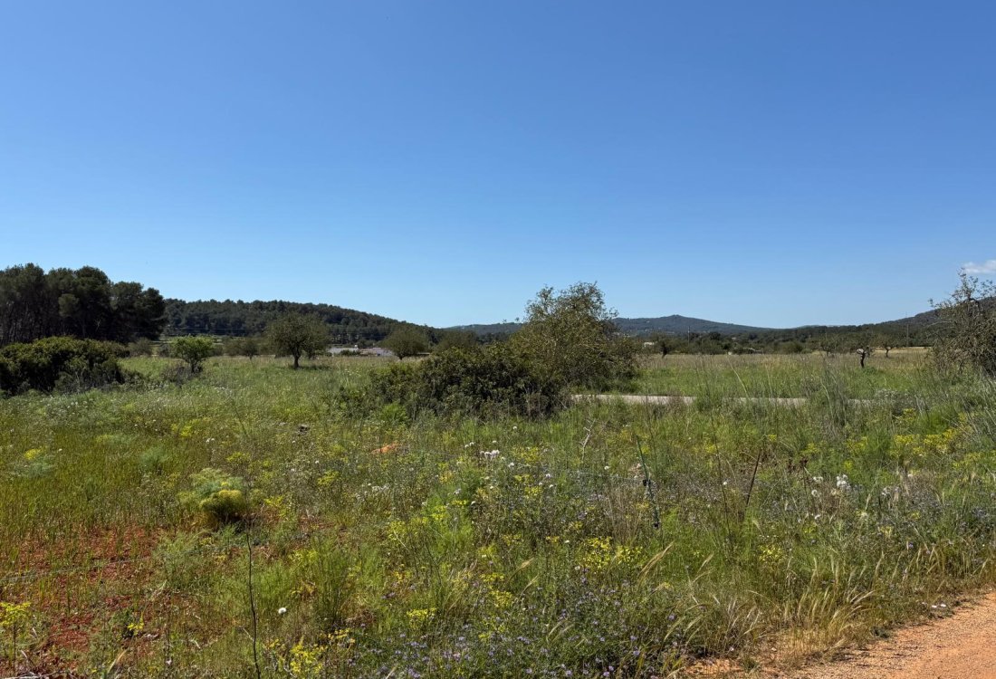 Tranquil countryside plot just minutes from Town - 3