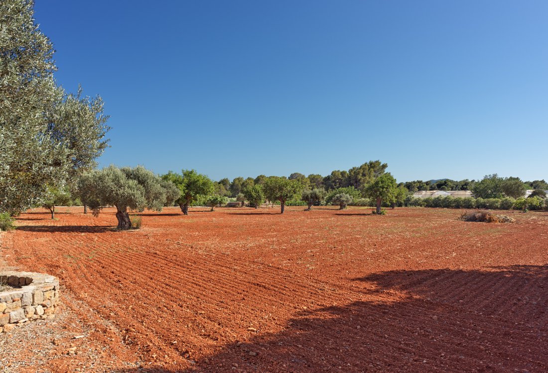 Encantadora finca renovada en ubicación idílica - 50