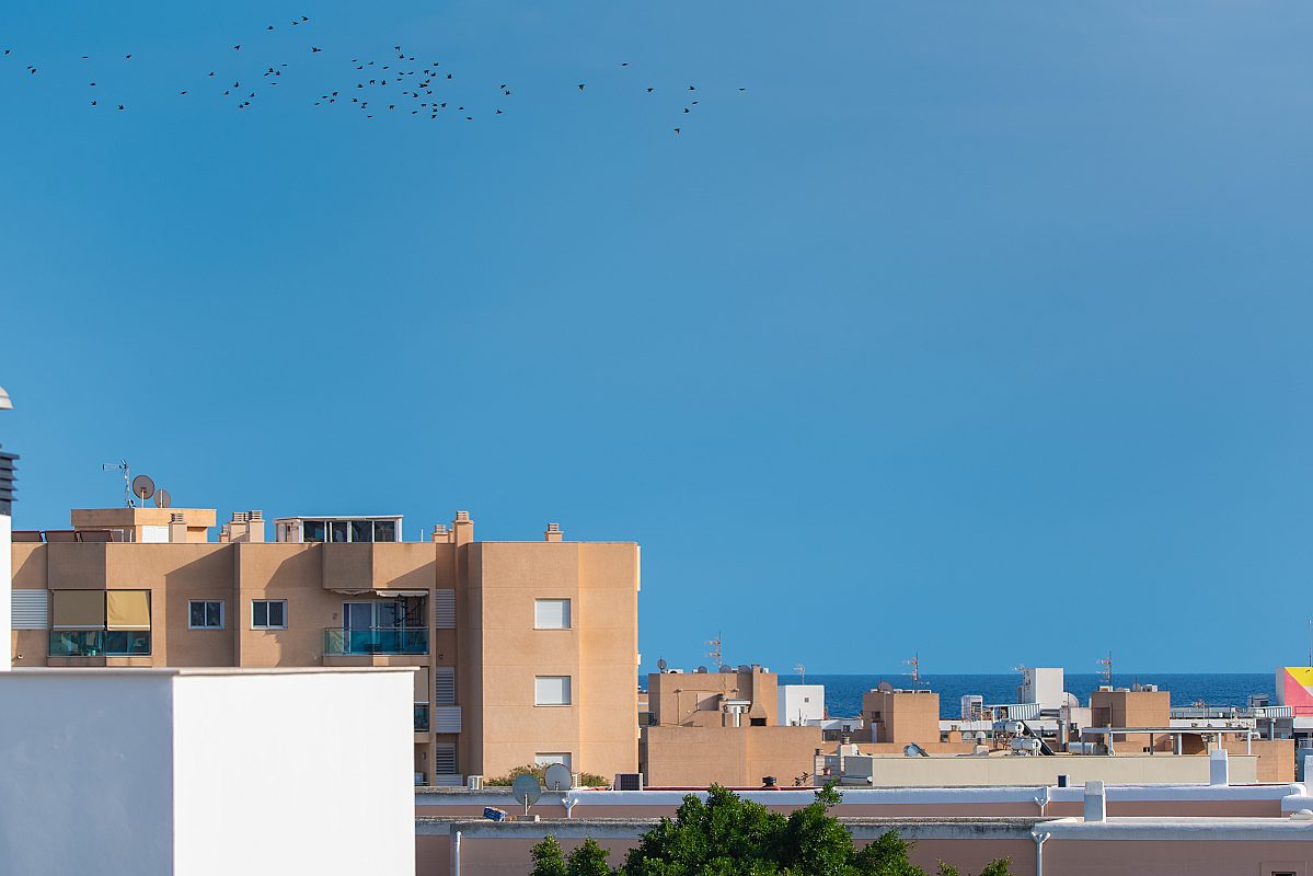 Ático de obra nueva con amplias terrazas - 9