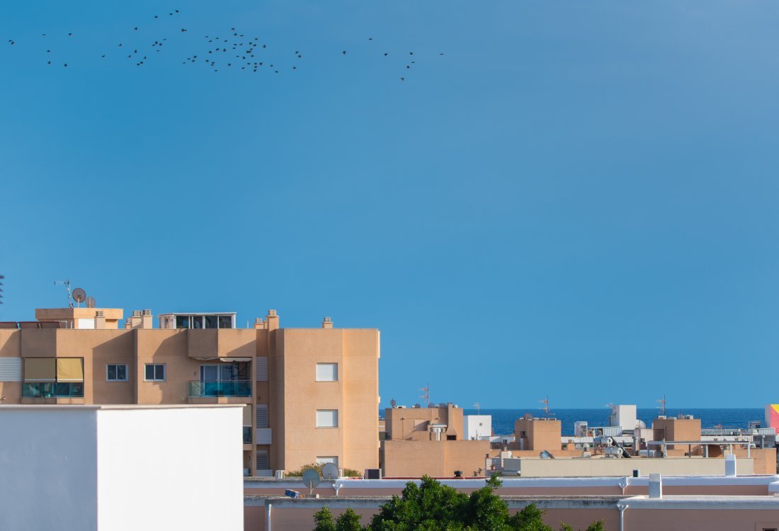Exclusive triplex with spacious terraces and a functional layout - 11