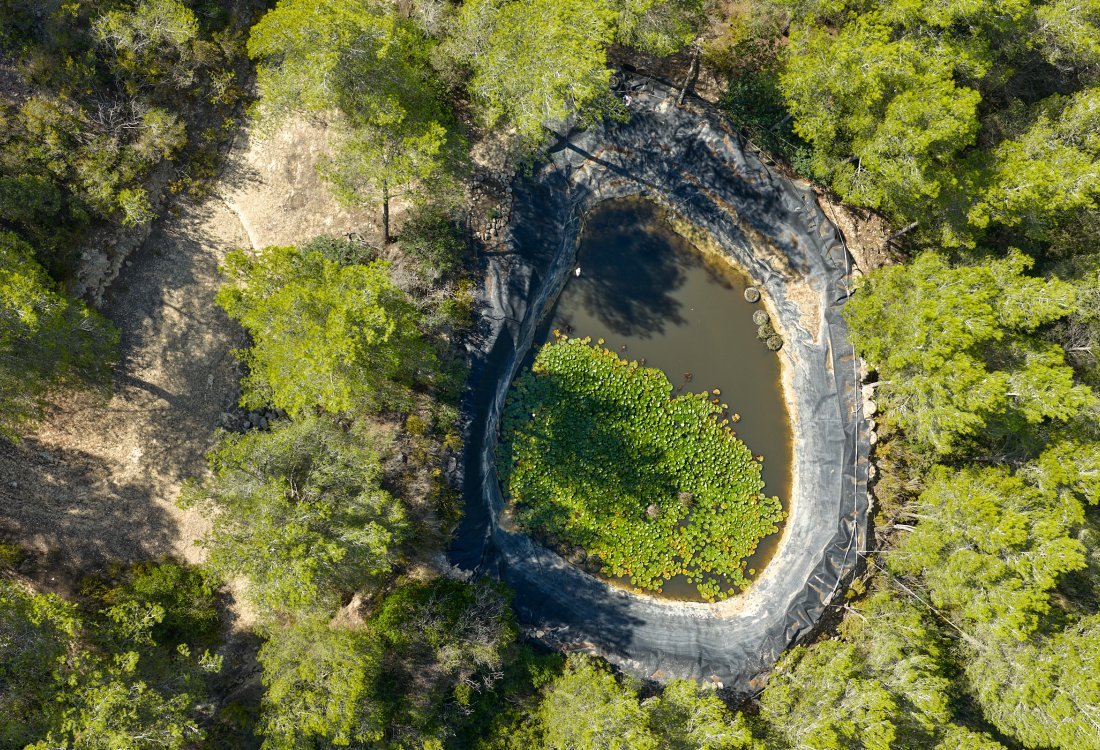 Finca histórica aislada con licencia turística - 15