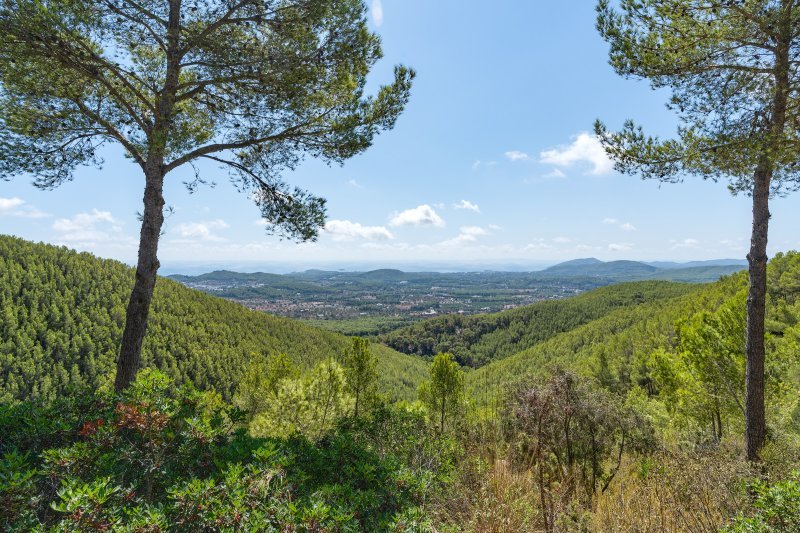 Finca histórica aislada con licencia turística - 1