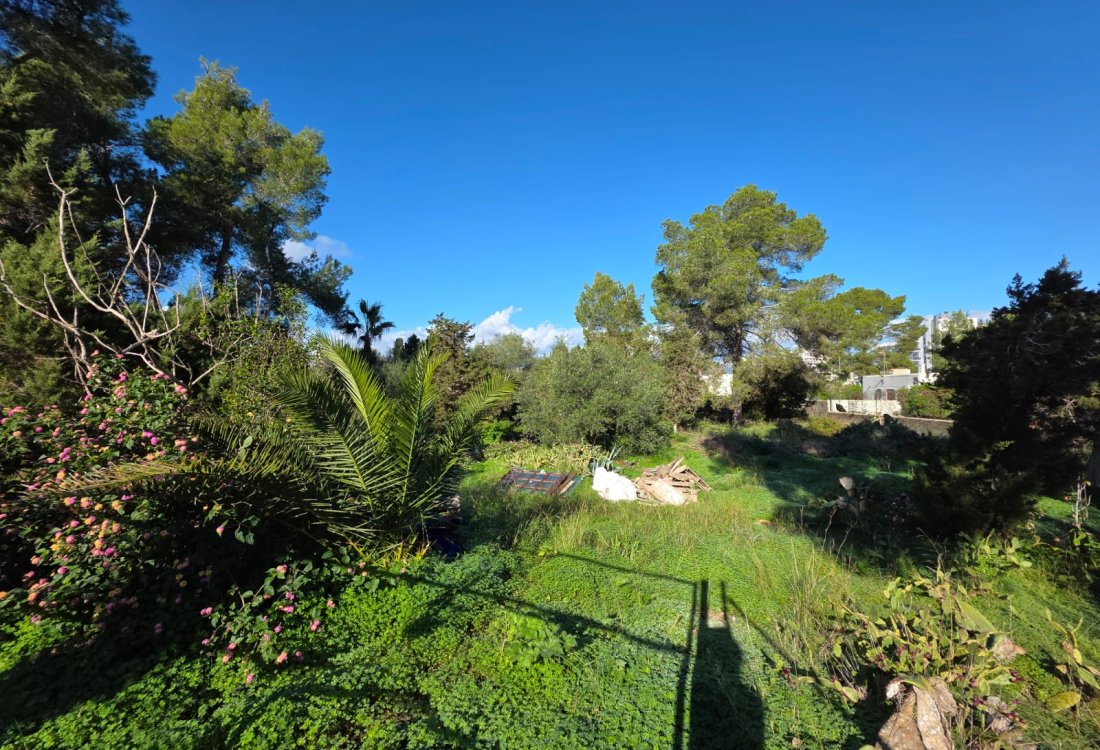 Terreno con proyecto y licencia para 12 viviendas exclusivas - 4