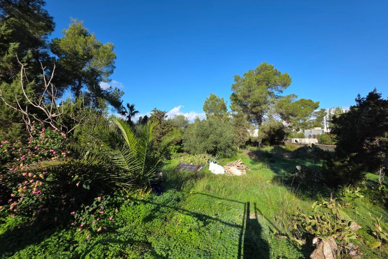 Terreno con proyecto y licencia para 12 viviendas exclusivas - 4