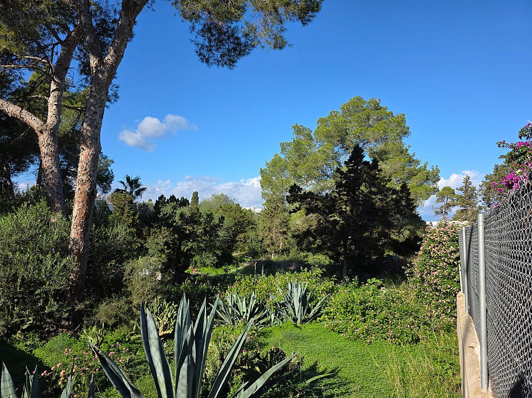 Terreno con proyecto y licencia para 12 viviendas exclusivas - 4