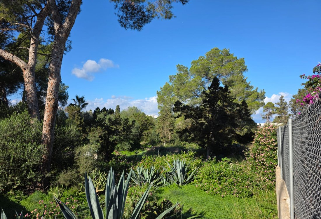 Terreno con proyecto y licencia para 12 viviendas exclusivas - 1