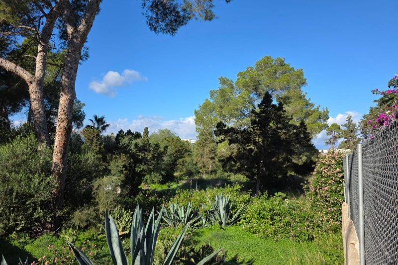 Terreno con proyecto y licencia para 12 viviendas exclusivas - 1