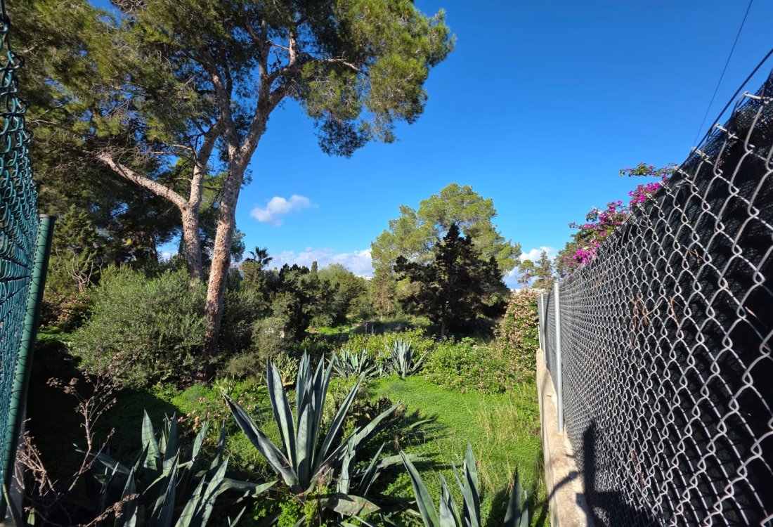 Terreno con proyecto y licencia para 12 viviendas exclusivas - 3