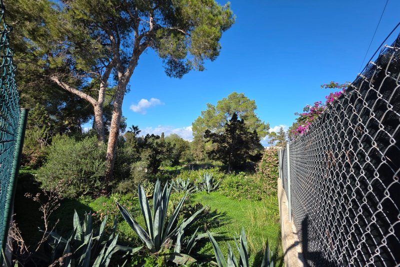 Terreno con proyecto y licencia para 12 viviendas exclusivas - 3