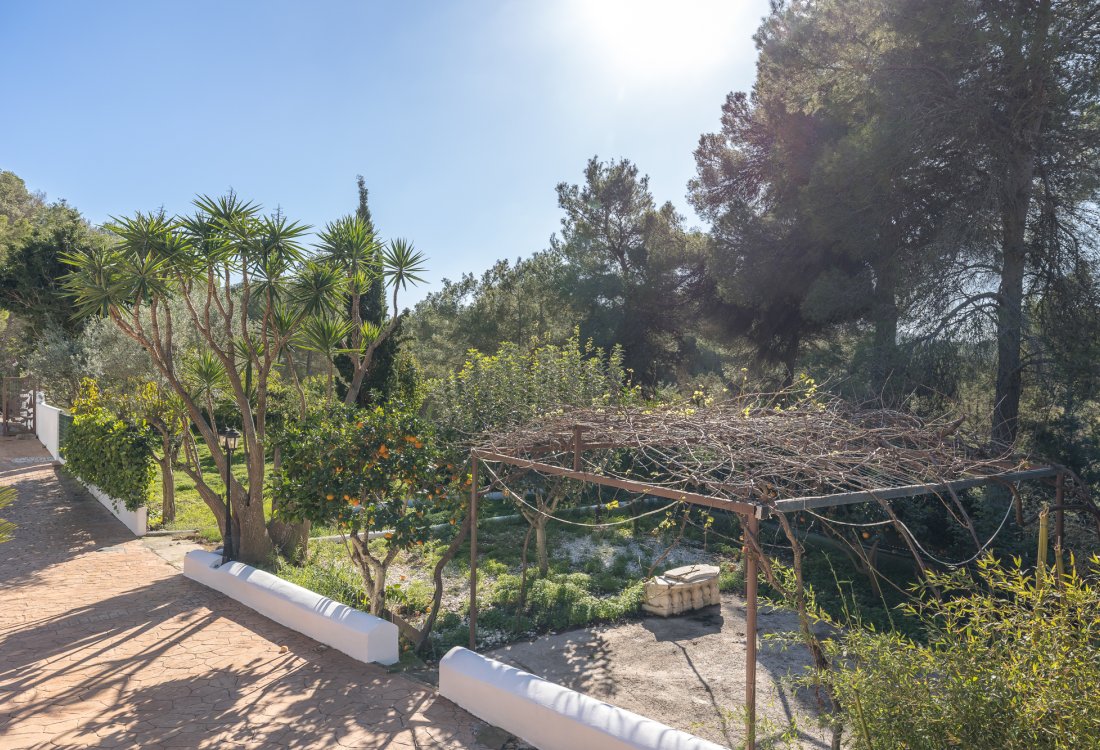 Country house with guesthouse close to Ibiza town - 22