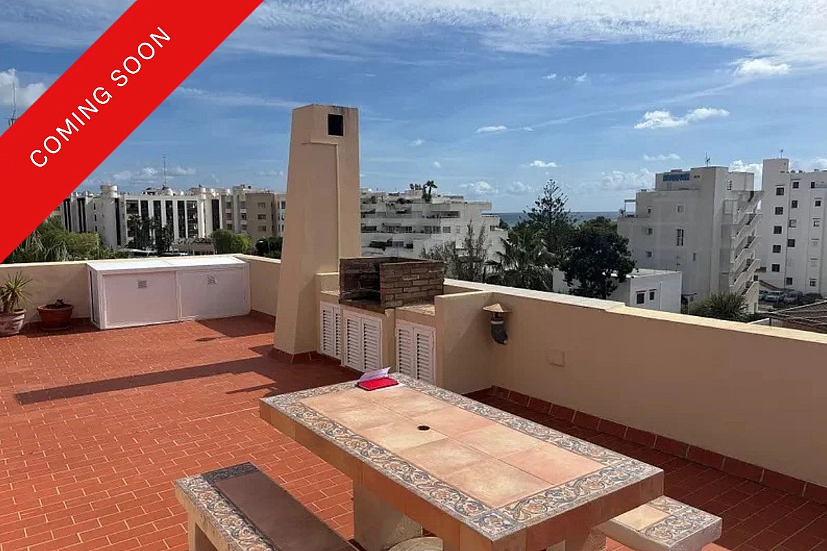 Penthouse close to the beach with large rooftop terrace - 1