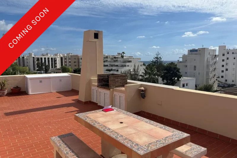 Penthouse close to the beach with large rooftop terrace - 1