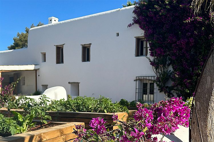 Historische Eco Finca mit Vermietungslizenz - 16