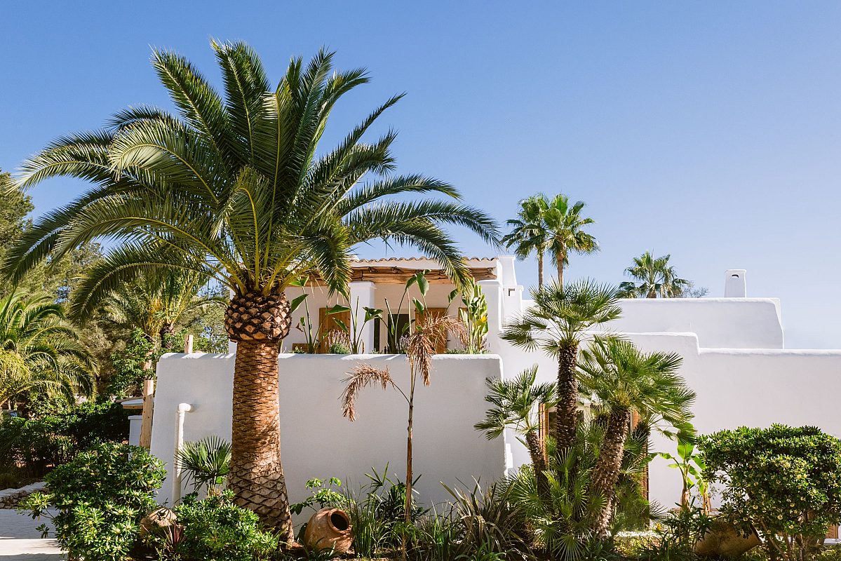 Historische Eco Finca mit Vermietungslizenz - 4