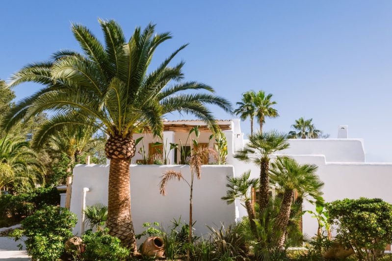 Historische Eco Finca mit Vermietungslizenz - 4
