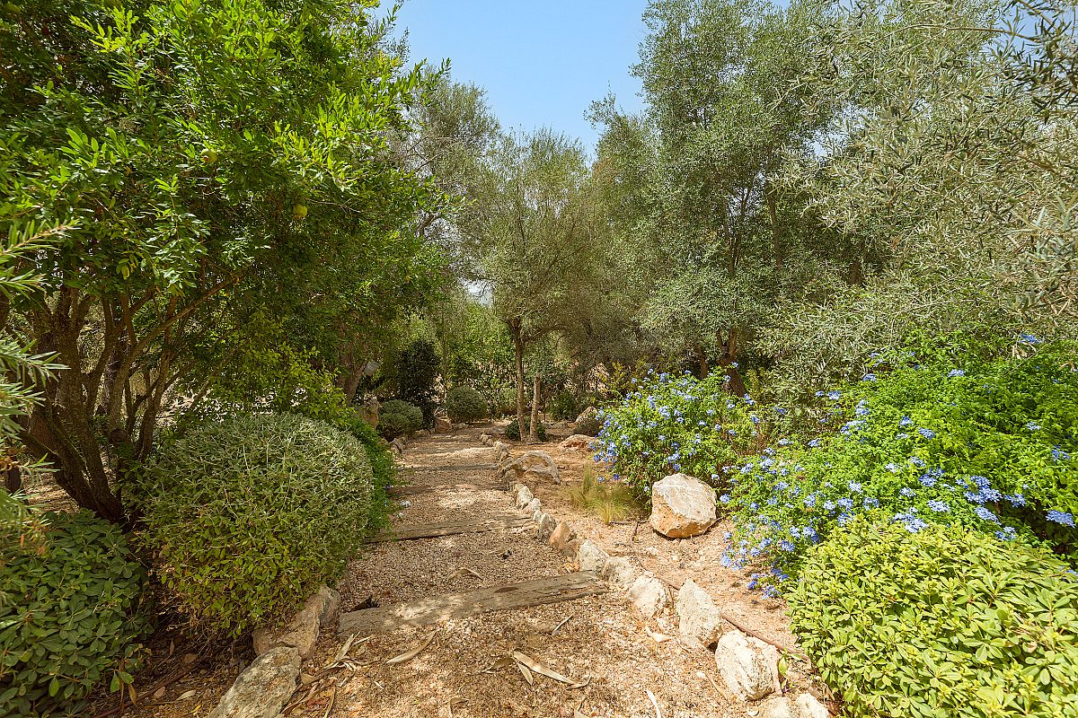 Historic eco-conscious luxury finca with rental license - 27
