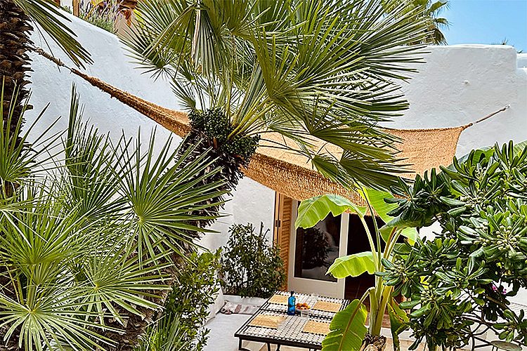 Historische Eco Finca mit Vermietungslizenz - 15