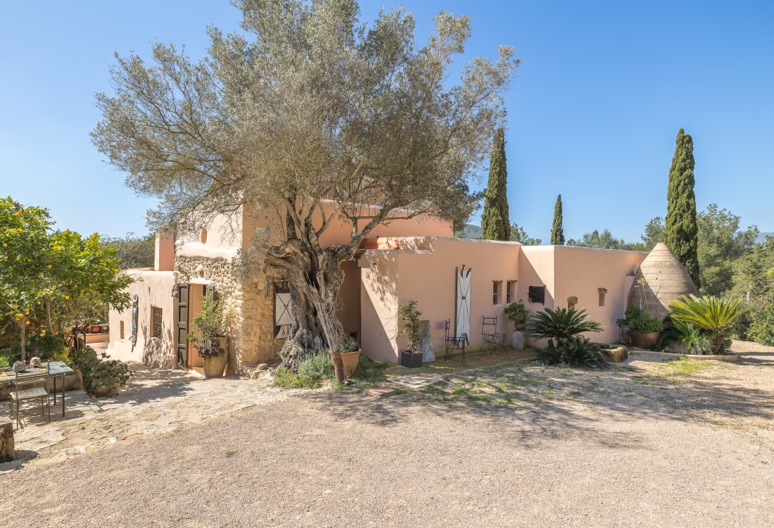 Antique ibicenan finca with guesthouse and lush gardens - 25