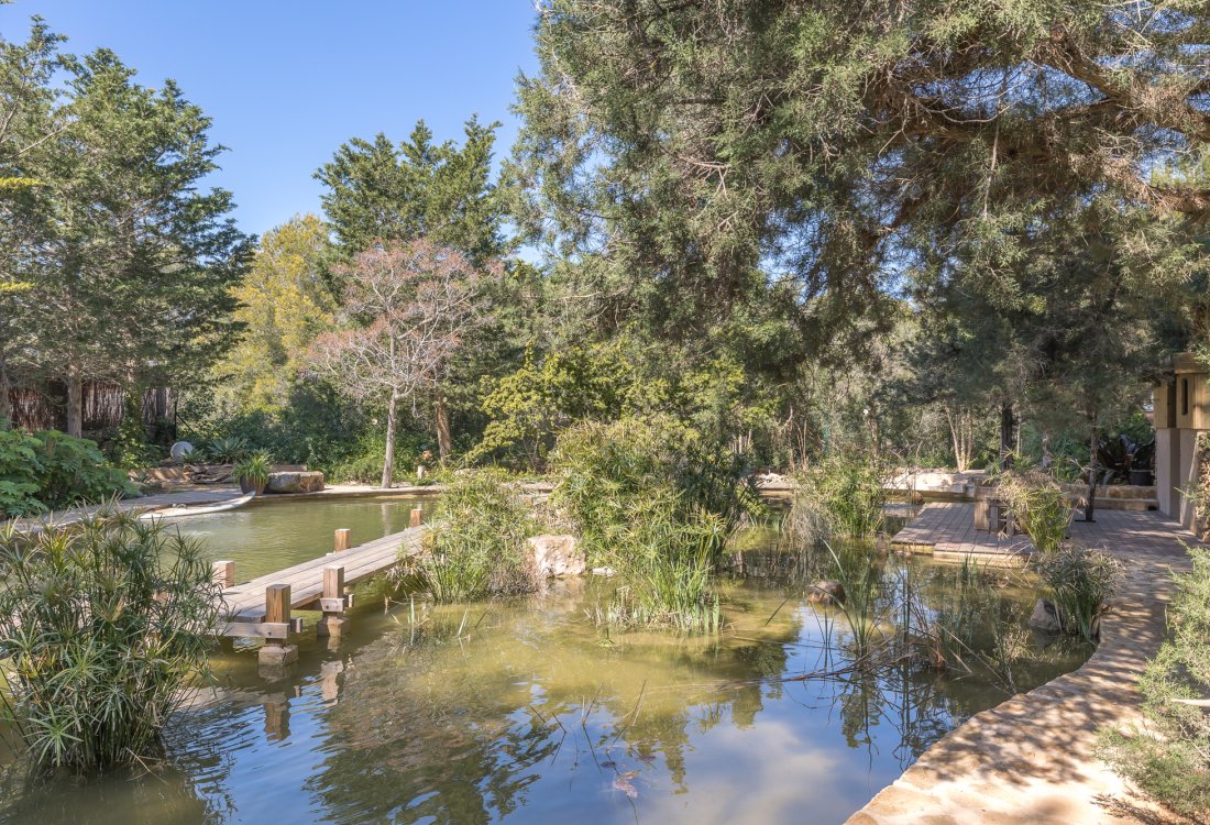 Antique ibicenan finca with guesthouse and lush gardens - 4