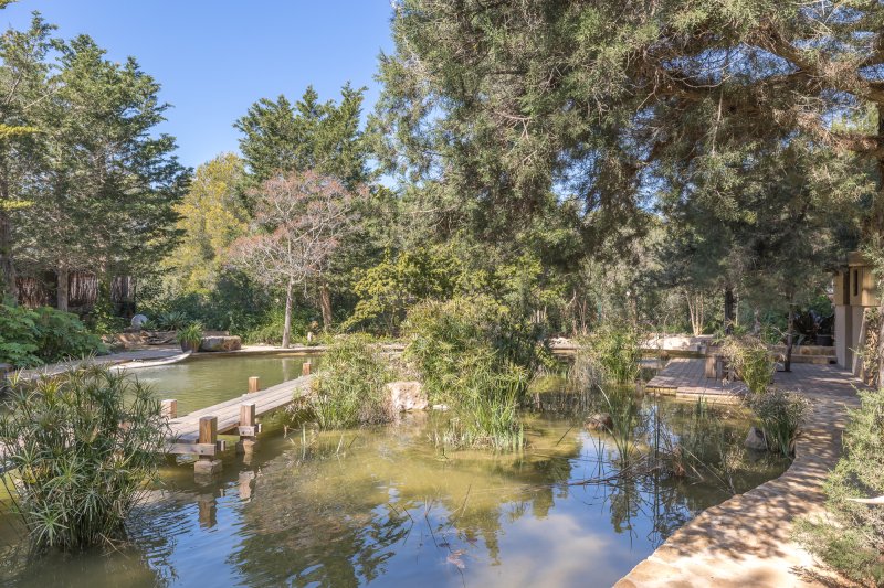 Antique ibicenan finca with guesthouse and lush gardens - 4