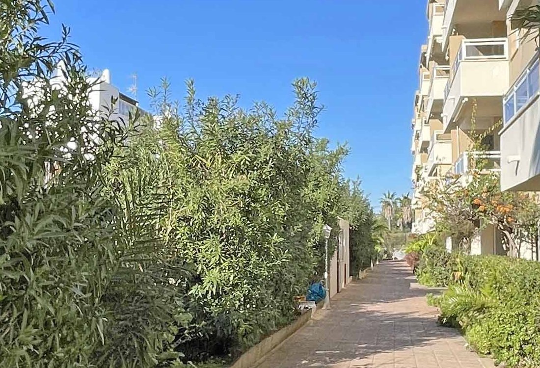 Luminoso y amplio apartamento en ubicación privilegiada en Talamanca - 12