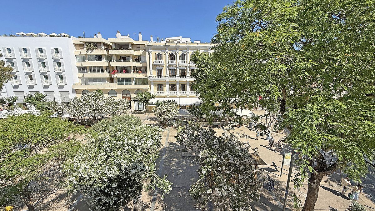 Exclusivo apartamento recién reformado con galería y vistas a Vara de Rey - 14