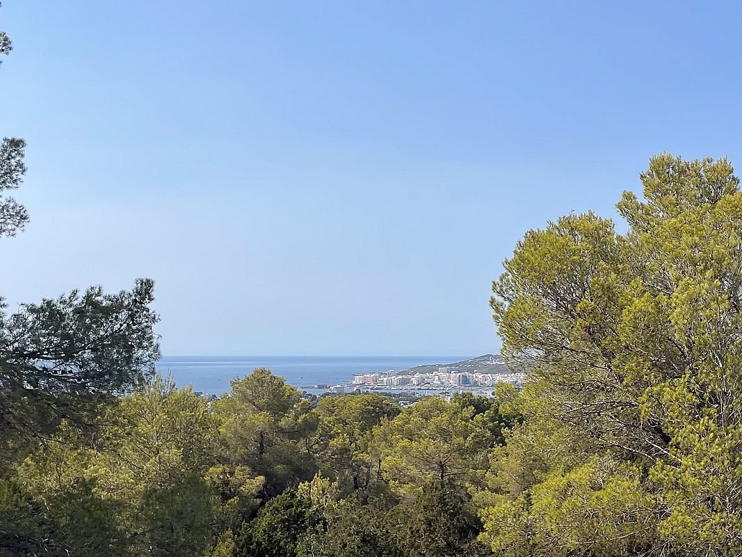 Encantadora villa ibicenca con vistas al mar - 4