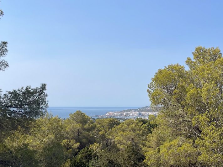 Encantadora villa ibicenca con vistas al mar - 4